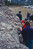 Devonian Southesk Formation near Canmore; an amphipora reef (algal mat),         a type of stromatoporiod.