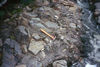 Sooke Formation conglomerate at Parkinson Creek, Vancouver Island, B.C.