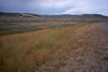 View of fossil quarry in Green River Formation, WY.