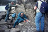 Innerbedded sandstone and conglomerate, Saltspring Island, B.C..